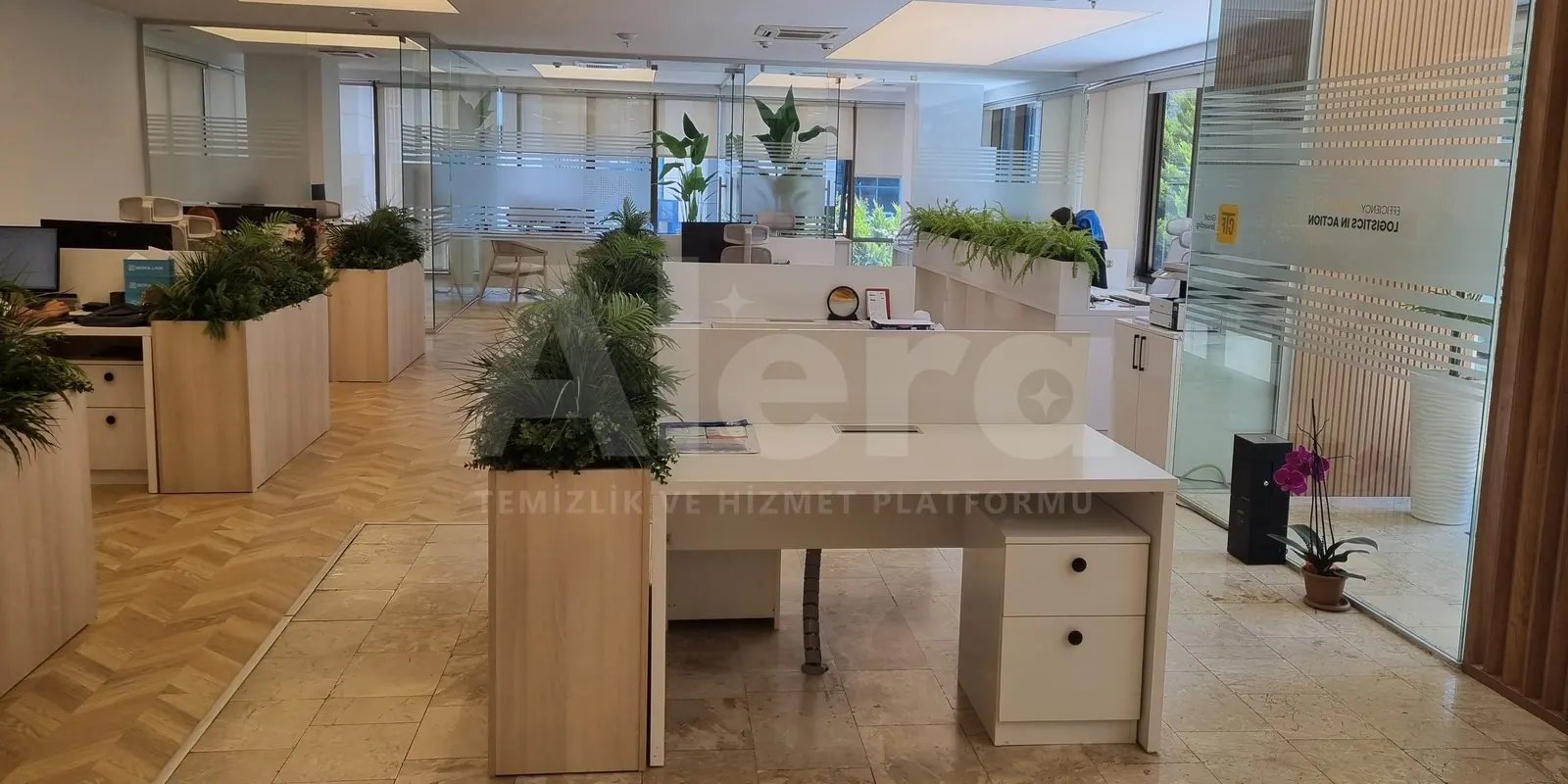 Çalışma masaları ve bitkili bölmeleriyle açık ofis